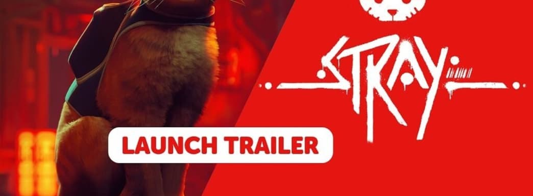 Stray доступна на Nintendo Switch в физическом и цифровом изданиях