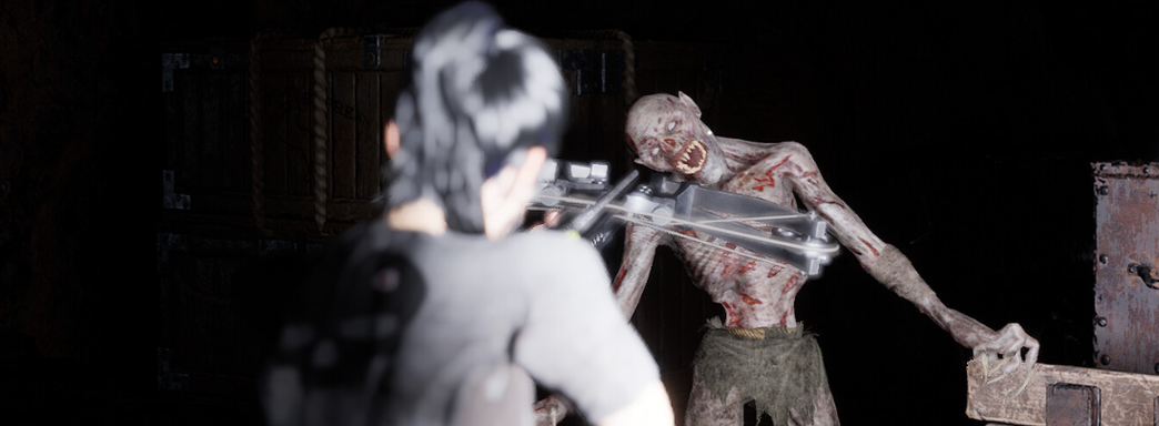 Инди-разработчику стало неудобно продавать RPG-шутер низкого качества, поэтому он удаляет игру из Steam