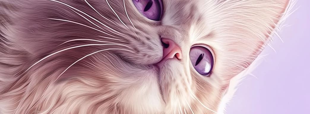 Создатели Catly опровергли слухи об использовании ИИ, блокчейна и NFT