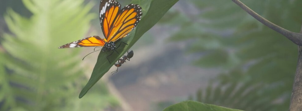 Фотореалистичная RTS Empire of the Ants получит кооператив, новых юнитов и режимы игры