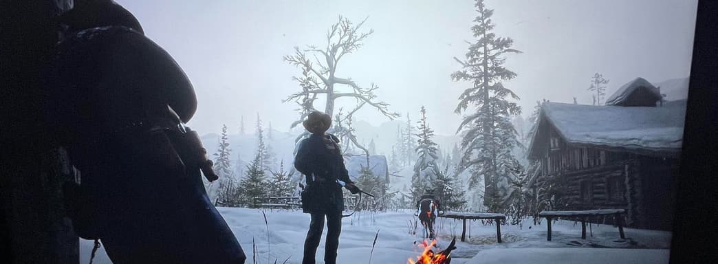 Игрок потратил 4000 евро на ПК и остался без обогревателя. В качестве «топлива для печки» используется Red Dead Redemption 2 в 4К