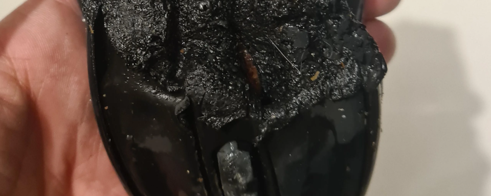 Gigabyte расследует инцидент со сгоревшей мышкой, чуть не устроившей пожар в квартире