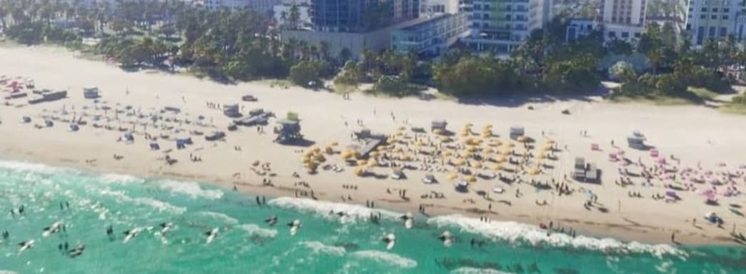 Глава Take-Two обеспокоен влиянием пошлин Трампа на продажи PS5, Xbox и Nintendo Switch 2