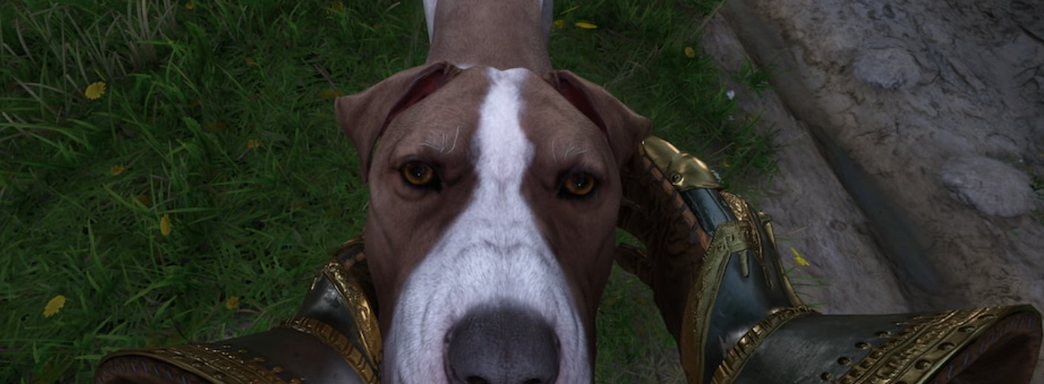 Создатель дилогии Kingdom Come Deliverance хотел бы сделать реалистичную RPG про викингов или крестоносцев