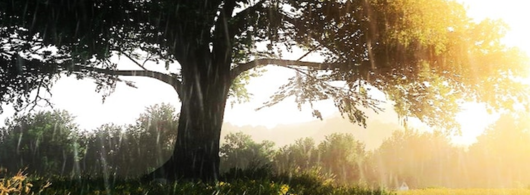 Игроки в Kingdom Come Deliverance 2 раскритиковали дождь, портящий впечатления от игры