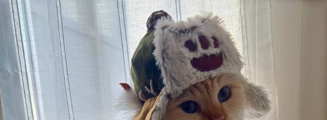 Замурррчательный союзник: кошка показала косплей Палико из Monster Hunter Wilds