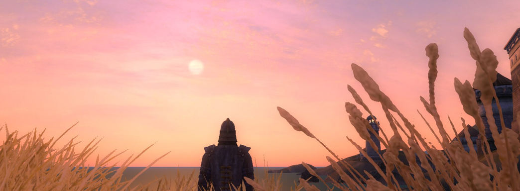 Инсайдер назвал релизное окно ремейка The Elder Scrolls 4 Oblivion и готов поставить на него $100