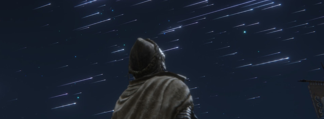 Поклонница Elden RIng 10 тысяч раз убила финального босса в кооперативных сессиях