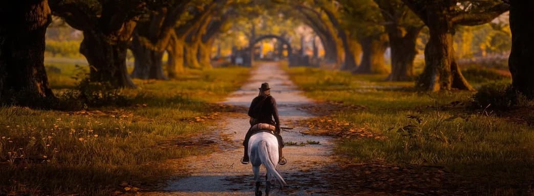 Обновление сайта Rockstar намекнуло на версию следующего поколения RDR2