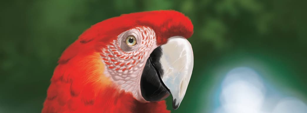 «Джунгли зовут!»: открылся предзаказ на настольную игру «Дикая природа Амазонии»