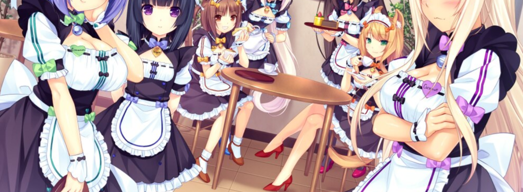 В Steam закрыли дорогу для многих взрослых игр? Valve запретила выпускать игры, которые нарушают правила платёжных систем и банков