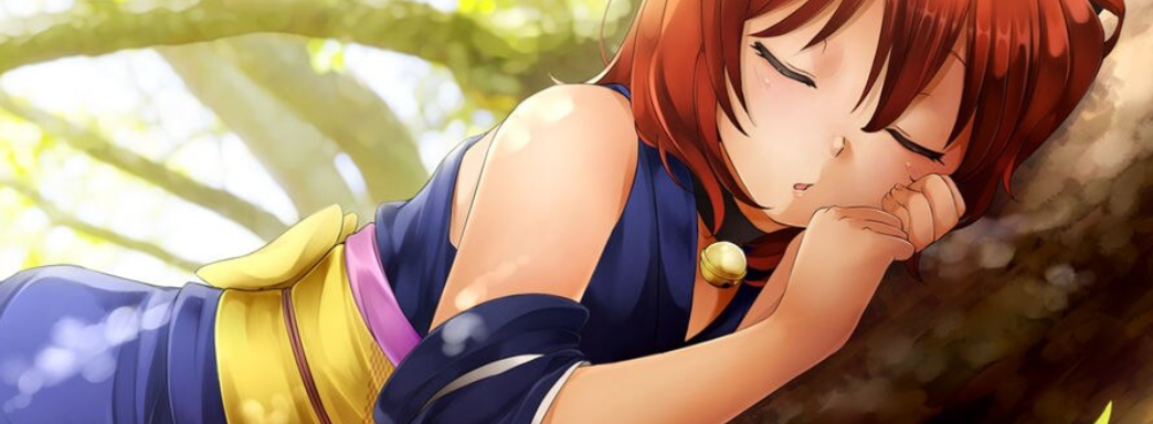 В GOG бесплатно раздают 13 игр для взрослых. Платформа выступила против цензуры и удаления игр