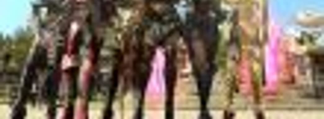 Многопользовательская онлайновая игра Kingdom Under Fire II выходит в ноябре