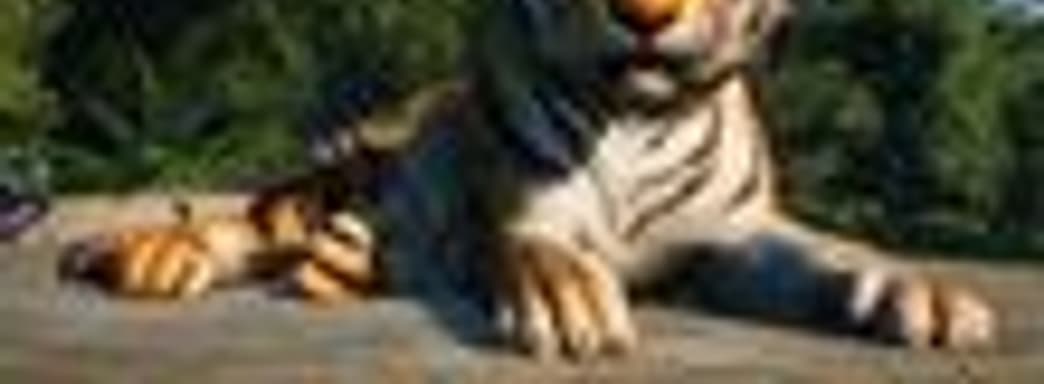 В первом дополнении к Planet Zoo появятся арктические животные