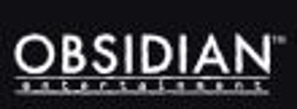 Студия Obsidian ищет сотрудников для создания высокобюджетной ролевой игры