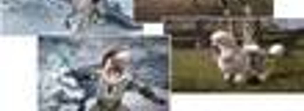 Dog Breed Pack для Fable III