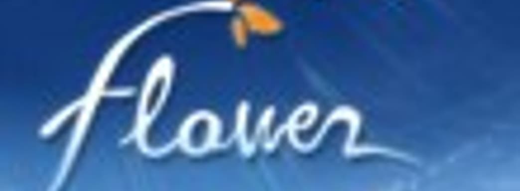 Новая игра от создателей Flower и flOw не раньше 2011 года