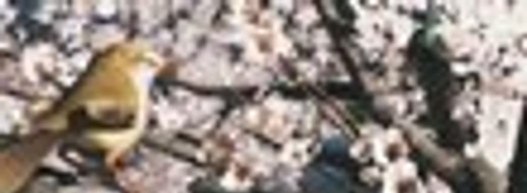 Техно-демо Nintendo Wii U 