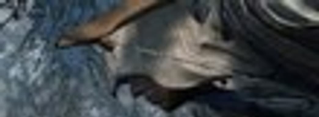 Новые скриншоты (Assassin's Creed III, Sorcery...)