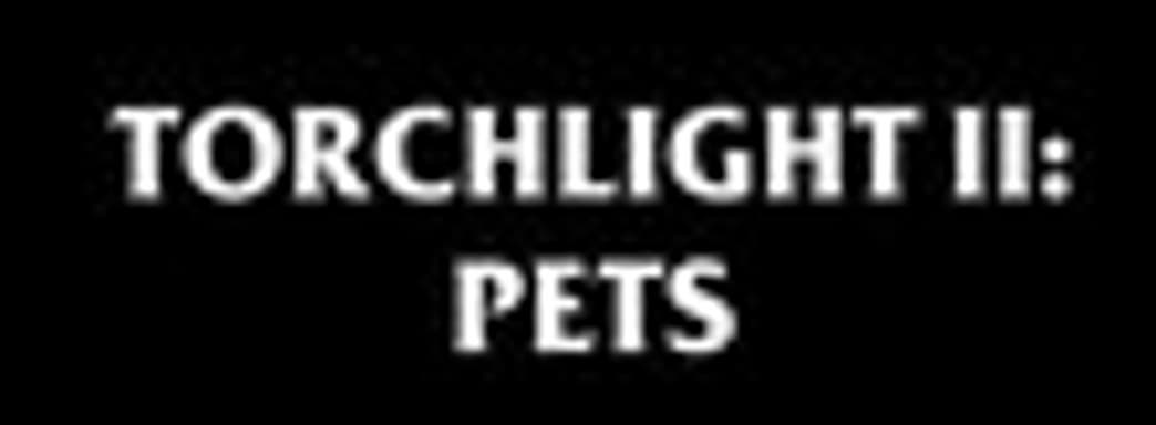 Трейлер Torchlight II