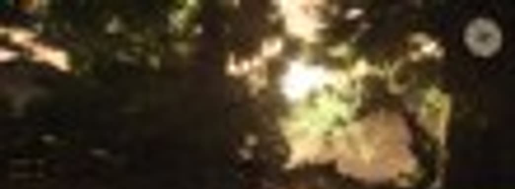 Игровой ролик Risen 2: Dark Waters