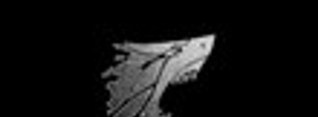 Трейлер Depth 