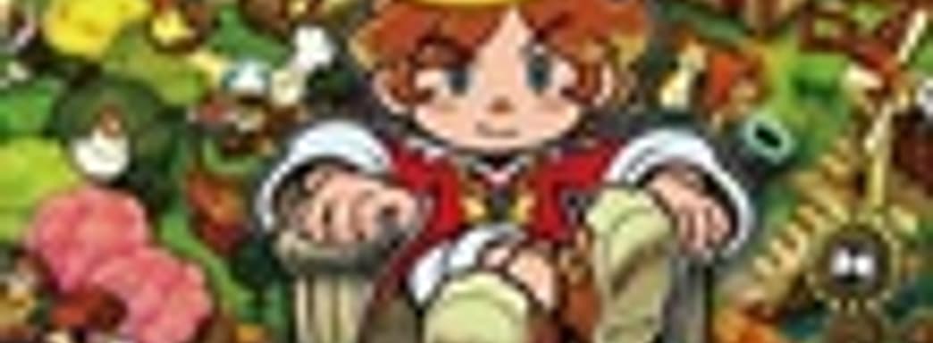 New Little King's Story - новые детали 