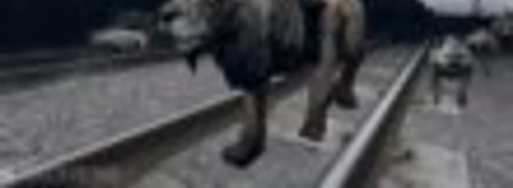 Launch-трейлер Tokyo Jungle