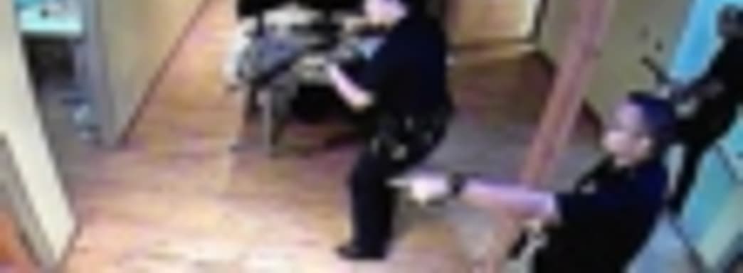 Курьезная ситуация в офисе Robotoki 