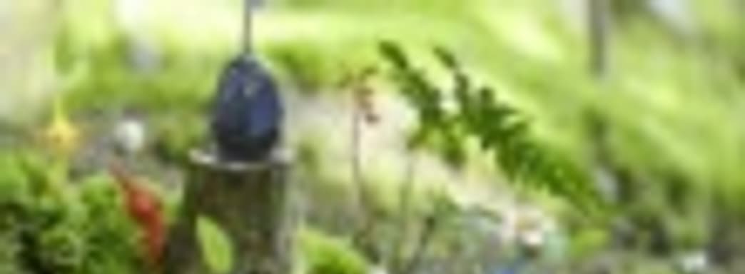 Miyamoto: Pikmin 3 стоило бы выпустить вместе с Wii U