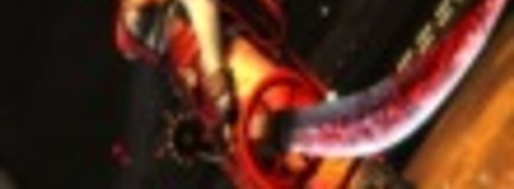 Особенности Ninja Gaiden 3: Razor's Edge для PS3 и Xbox 360