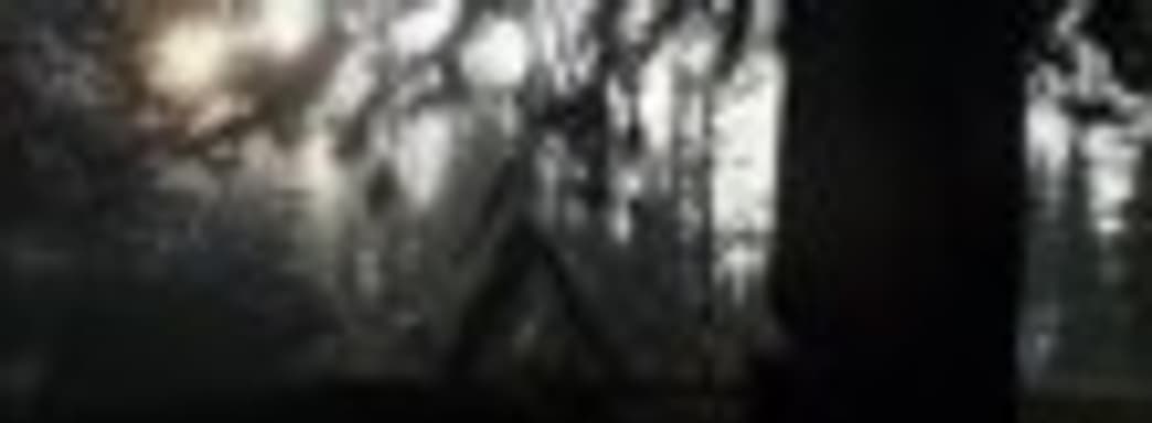 The Forest выйдет на PS4