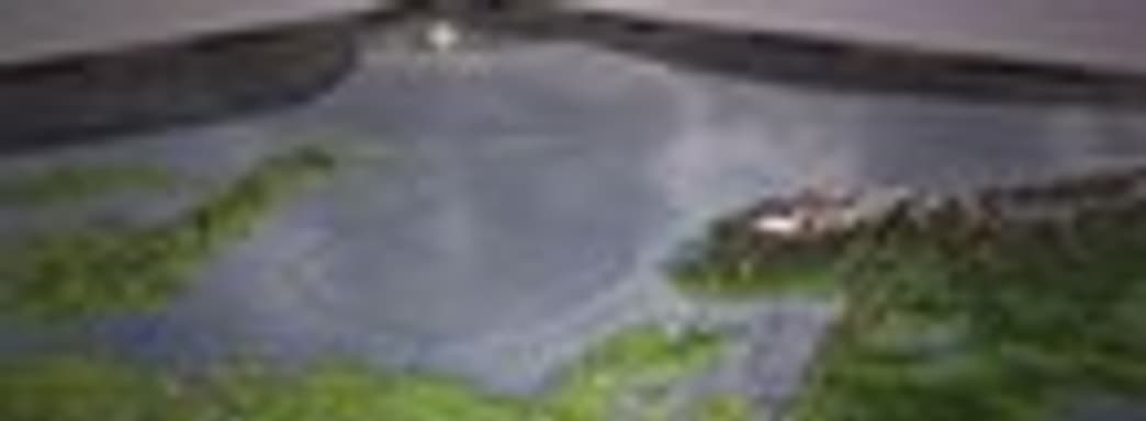 Анонс Crusader Kings II: Rajas of India