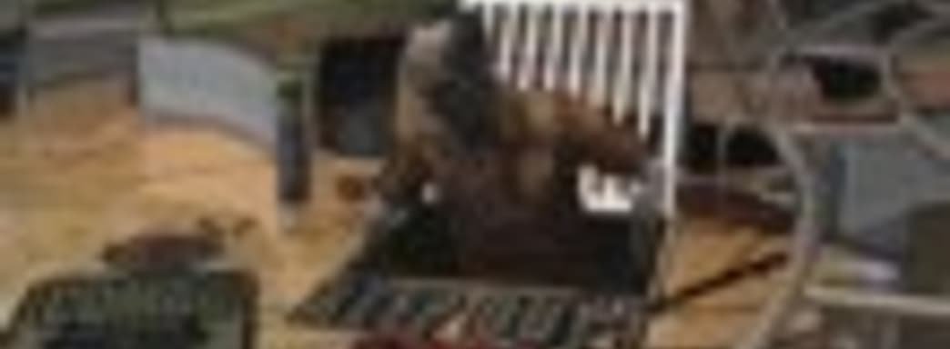 Zen Studios делает The Walking Dead Pinball 