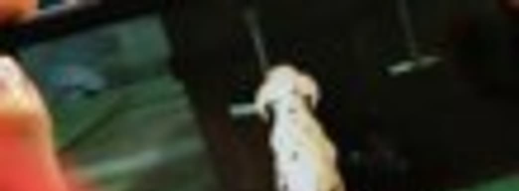 PlayStation Vita Pets в продаже