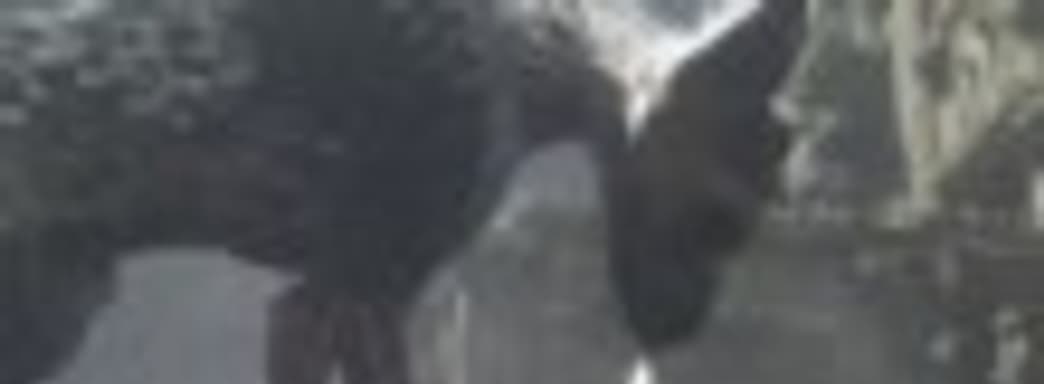 Слух: The Last Guardian так и не увидит свет [Обновлено]