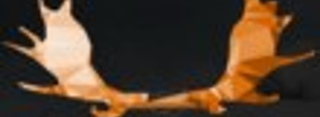 Patrice Desilets основал Panache Digital Games