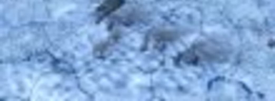 Видеодневники Hearts of Iron IV - танки