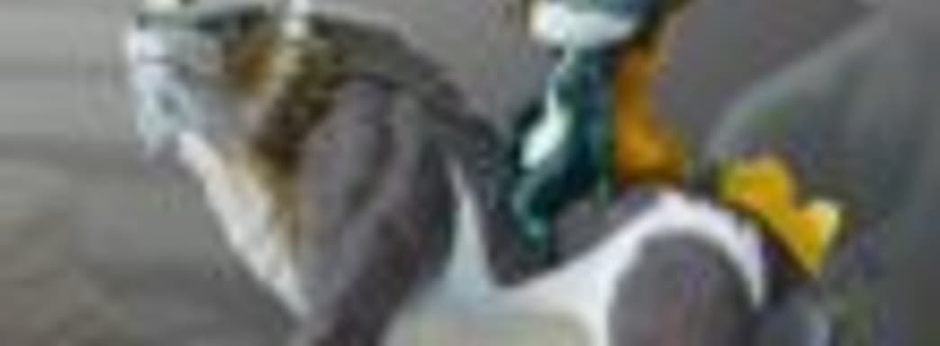 Новая часть The Legend of Zelda и The Legend of Zelda: Twilight Princess HD выйдут на Wii U в 2016