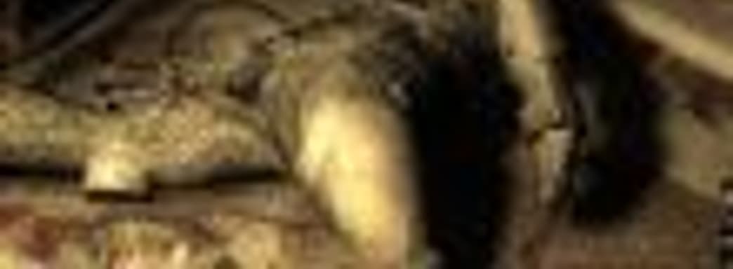 «Анабиоз: Сон разума»: официальный патч