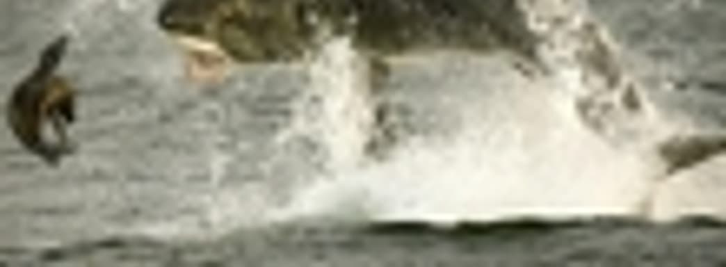 EA vs. Take-Two. Чем закончится схватка?