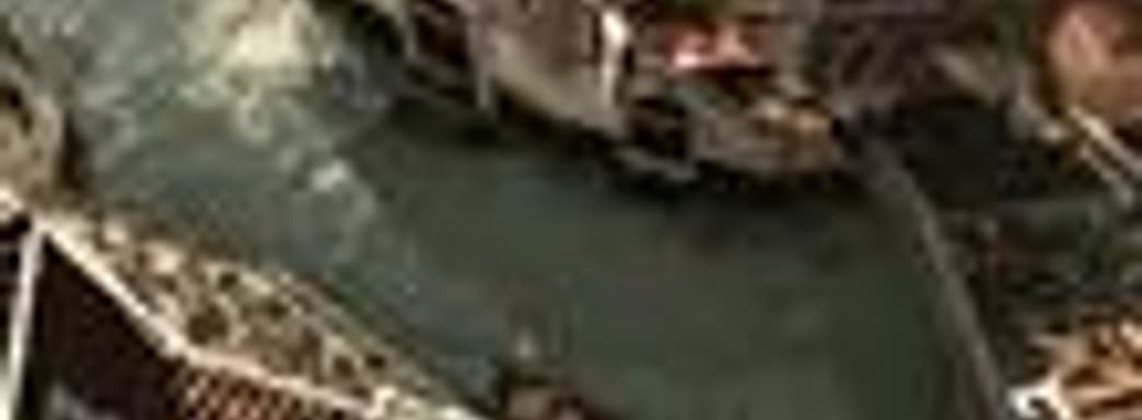 Команда разработчиков Assassin's Creed II выросла втрое со времен первой части