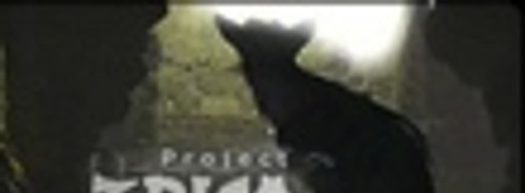 Project Trico - трейлер новой игры от Team ICO!!!