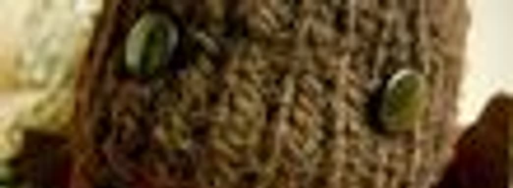 Media Molecule будет брать на работу талантливых создателей уровней LBP