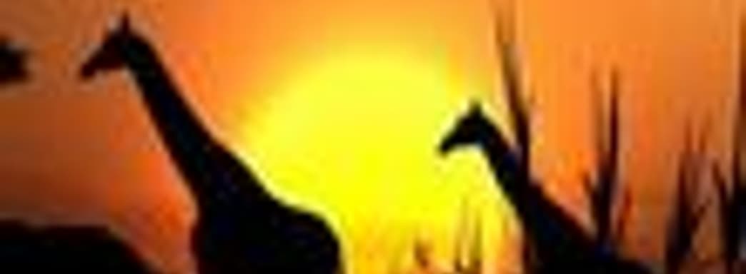 Японские игровые продажи (25-31 августа 2008)