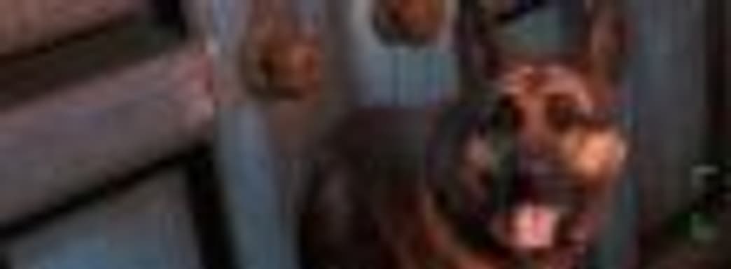 Планы Bethesda по выпуску патчей для Fallout 4: сначала на РС, потом на консолях