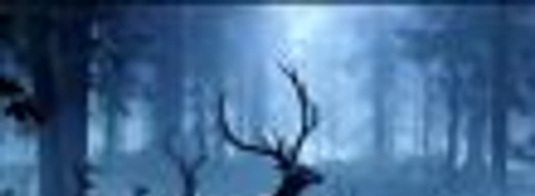 Halo Infinite без поддержки Xbox Play Anywhere?