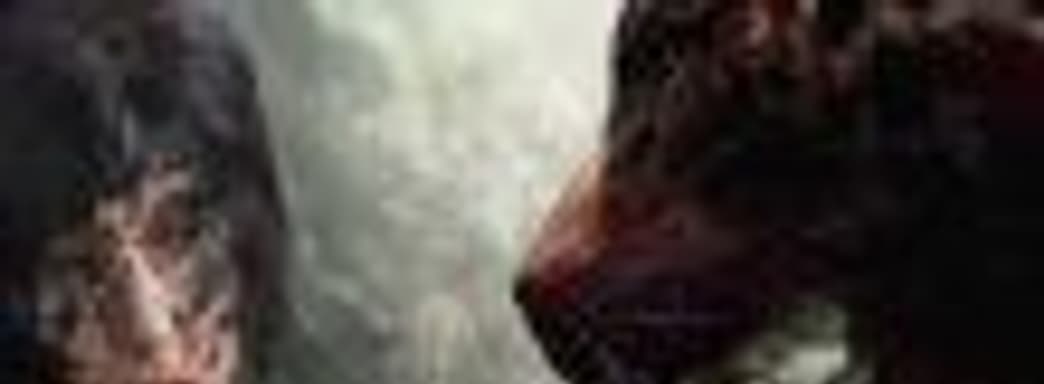 Игроки негодуют из-за скидки на Shadow of the Tomb Raider