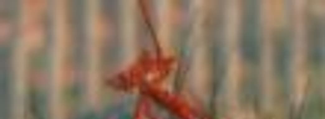 Возможные даты выхода Alienation, Shadow of The Beast и Unravel