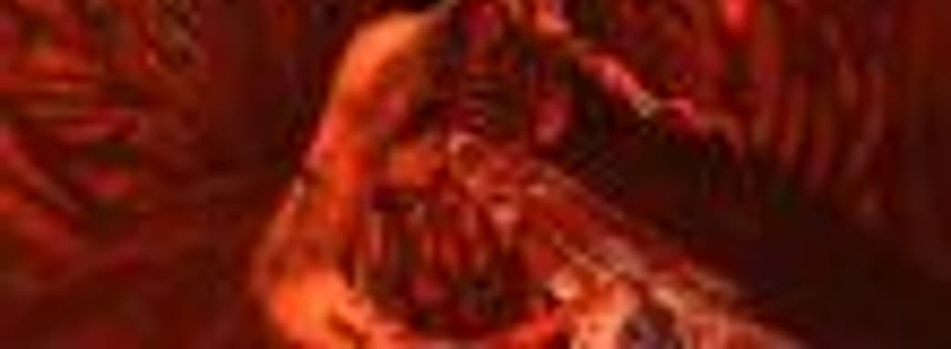 3D Realms: сейчас очень просто выпускать «контент для взрослых» на Switch